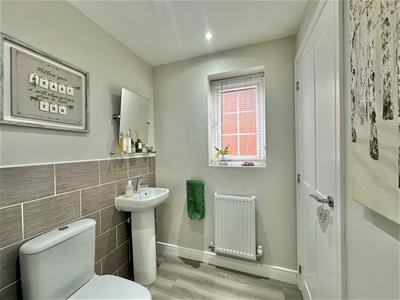 Picture 21